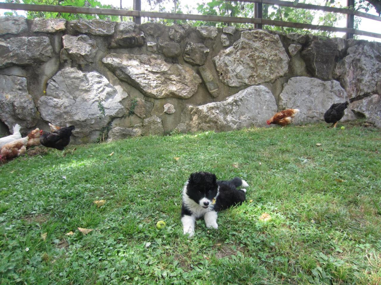 Viviendas El Barrio Cabezon de Liebana Екстер'єр фото